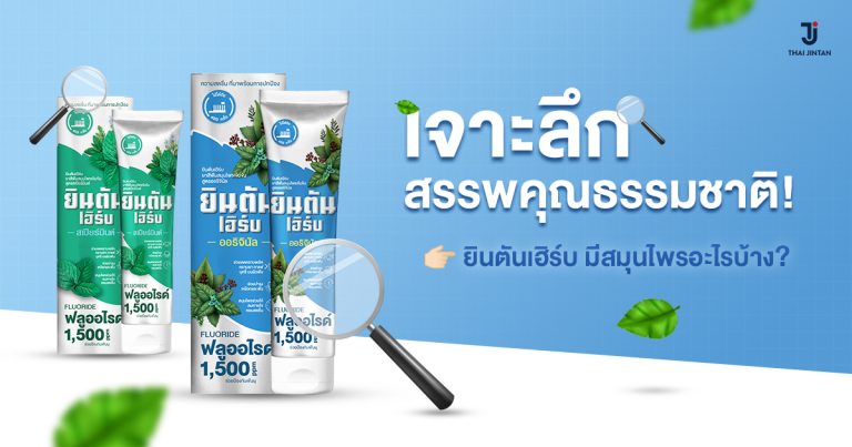ส่วนประกอบยาสีฟันสมุนไพรมีอะไรบ้าง